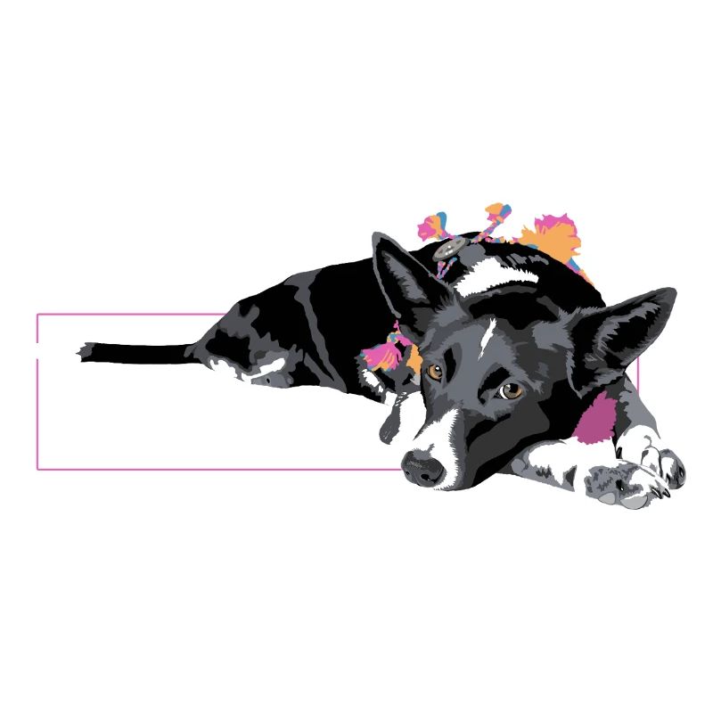 Border Collie III