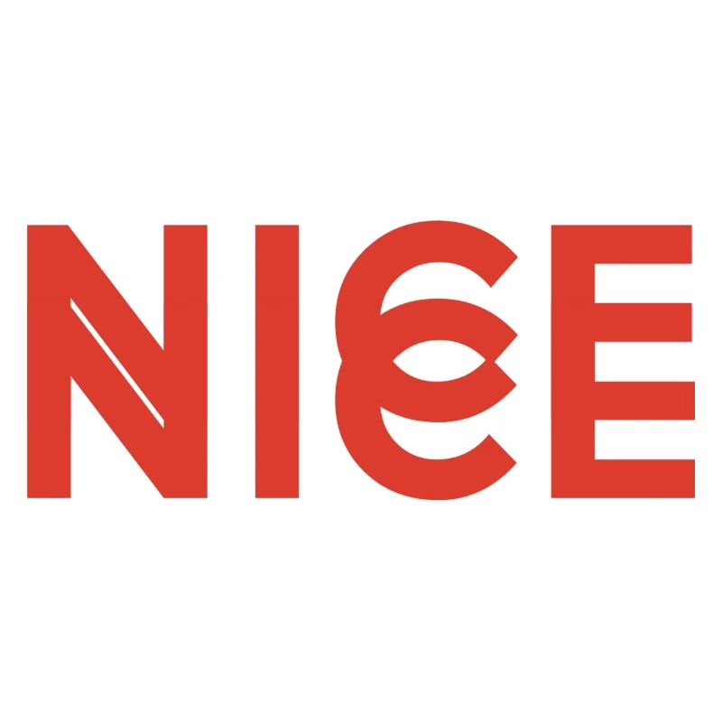 Nice Nice