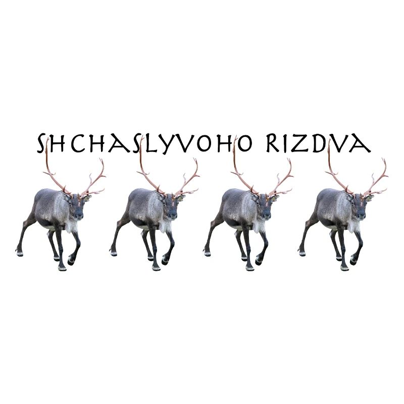 Schtschalwoho Rizdva