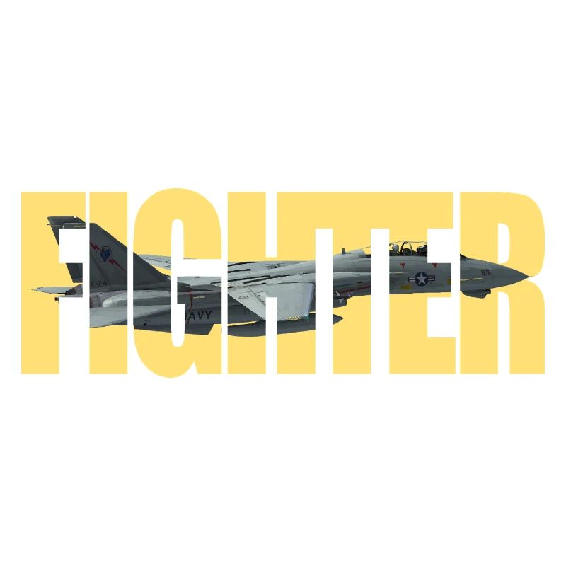 Fighter F-14 Tomcat