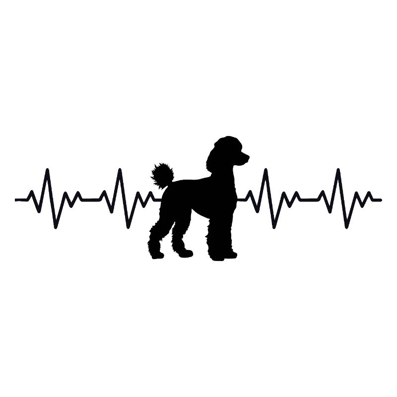 Pudel EKG Herzschlag