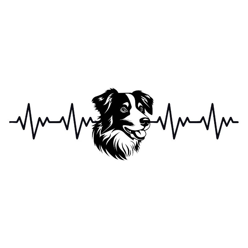 Border Collie EKG Herzschlag