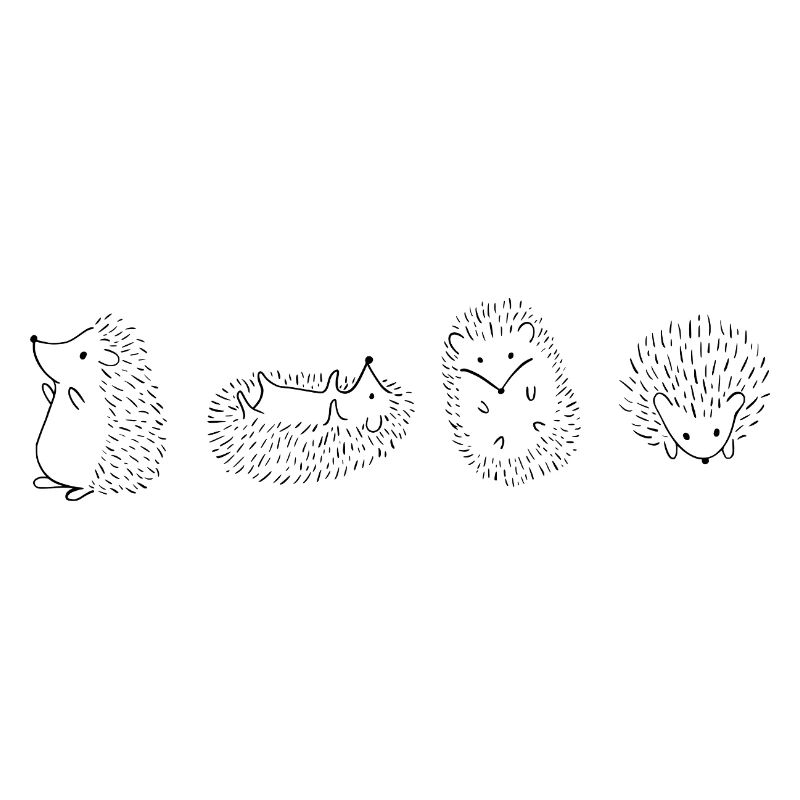 Hedgehog Hedgehog Hedgehog