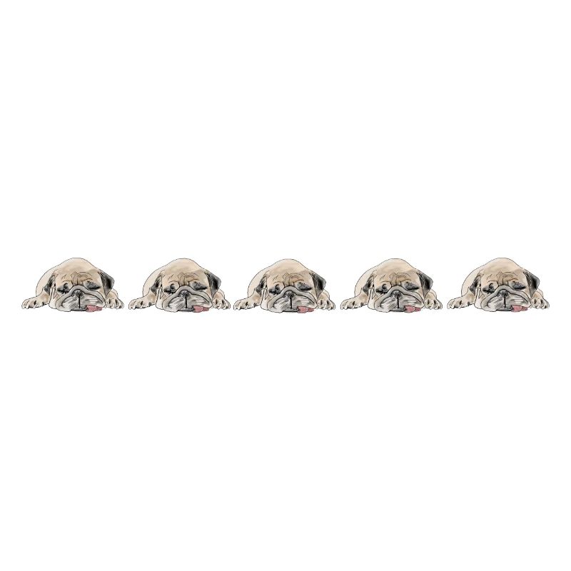 5 Möpse