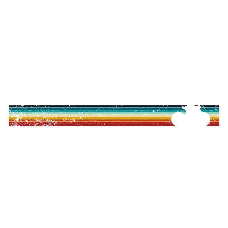 Retro Rainbow Stripes Bicycle