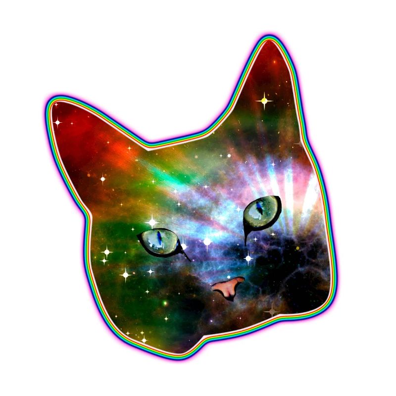 chat chemise, l'espace arc-en-chat