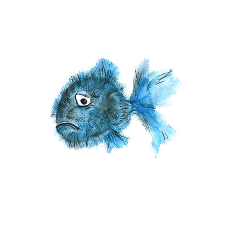 fish sad depressive blue puffer fish spine