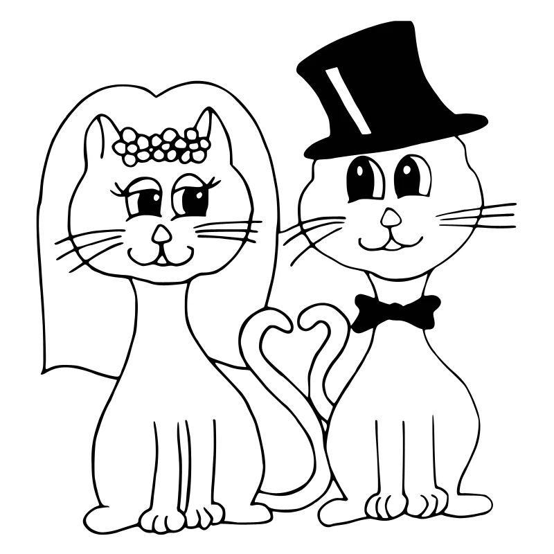 Mariage de chat