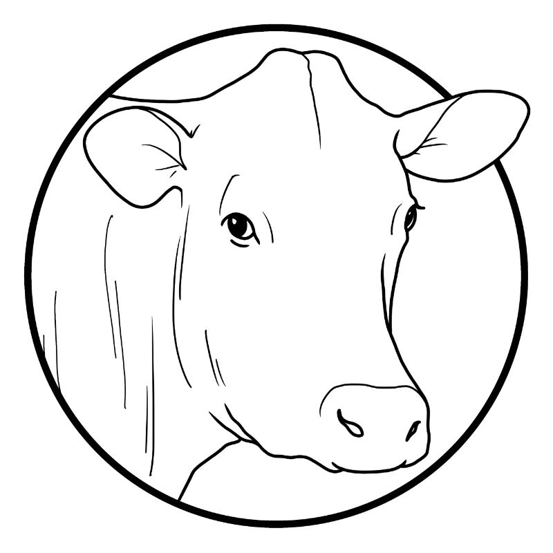 vache