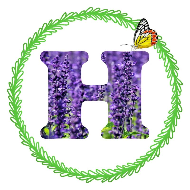 lavendel h