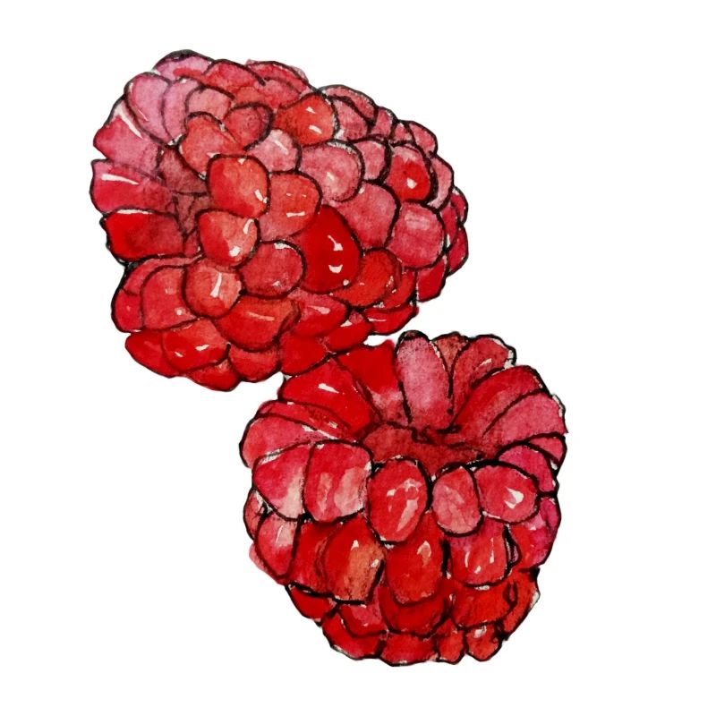 Himbeeren 