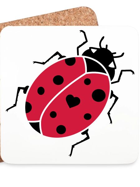 The ladybug