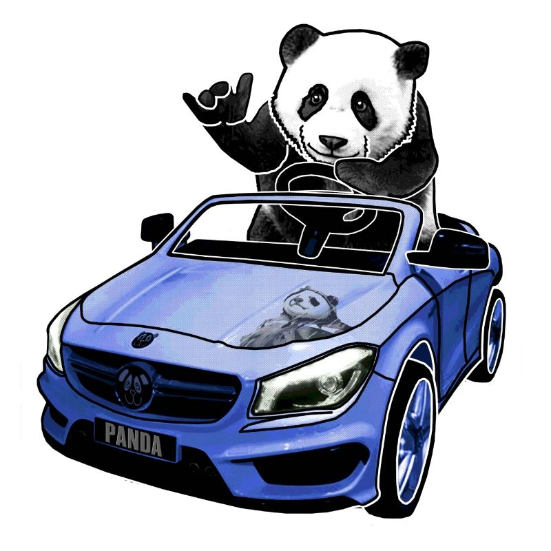 panda im auto geschenkidee