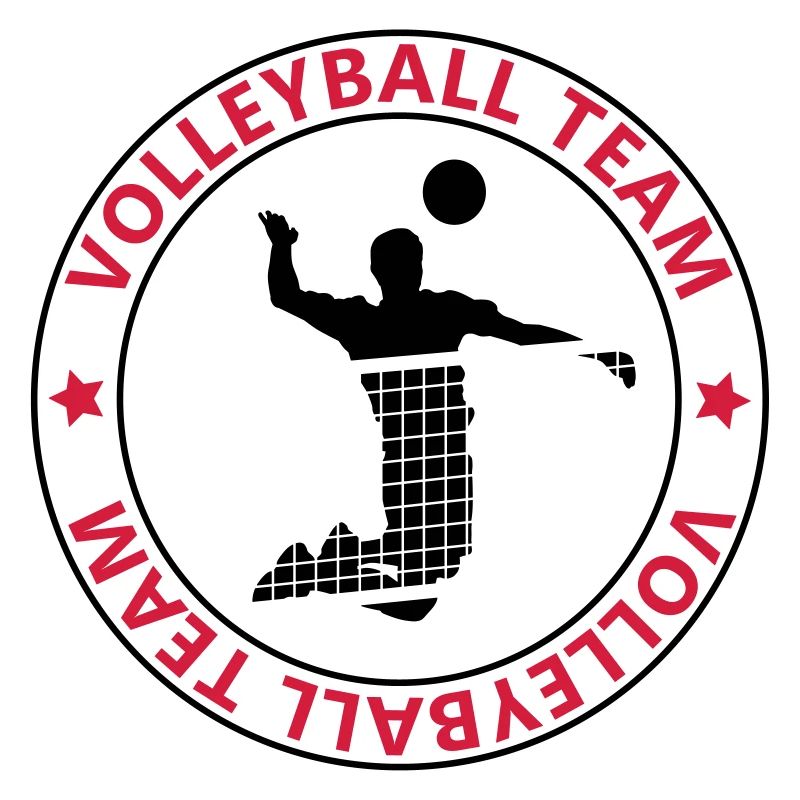 Volleyball team
