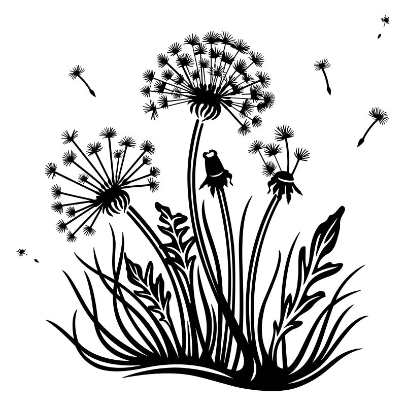Meadow, dandelion, summer and spring.