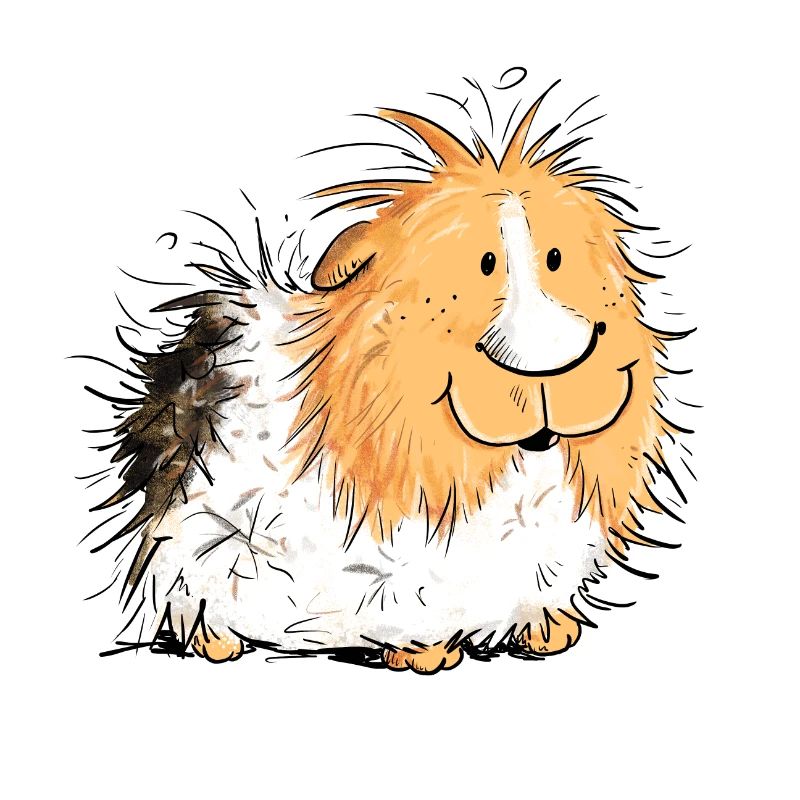 Cochon D'Inde I Petite Bande Dessinée De La Mer