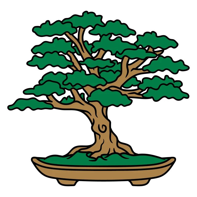 mini bonsai baeumchen blaetter aeste kleiner baum