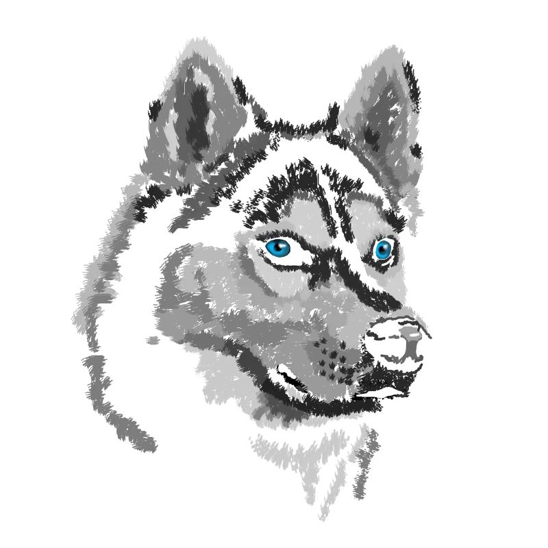 Schlittenhund