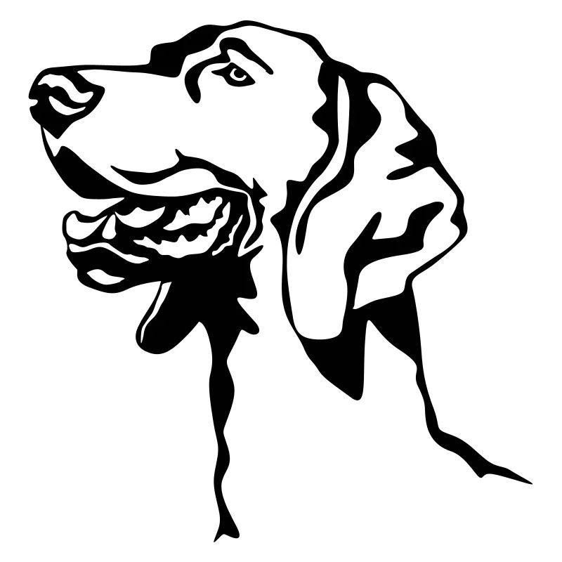 Tête de braque de Weimar