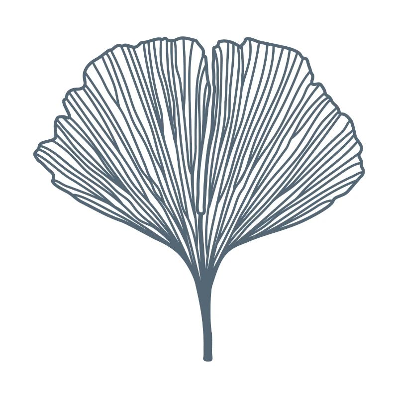 Ginko – Glücksbaum