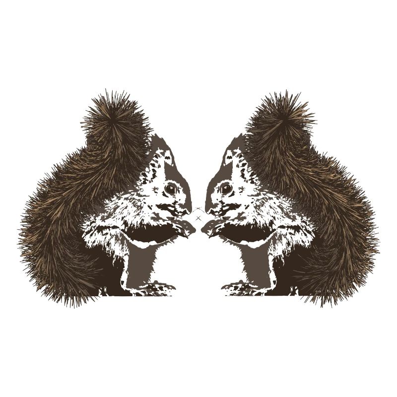 Squirrels, squirrels