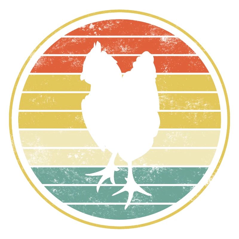 Chicken chickens