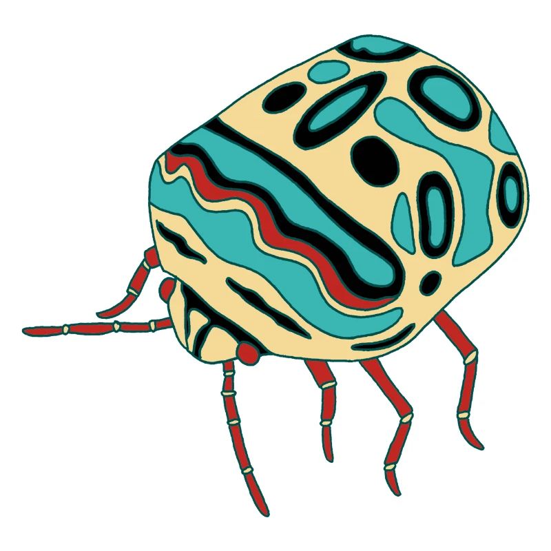 Multicolored insect
