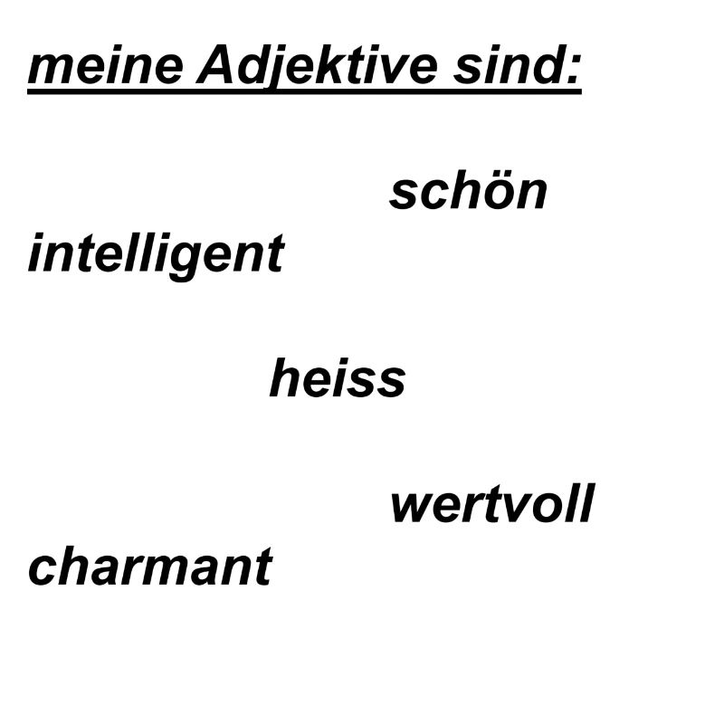 meine Adjektive
