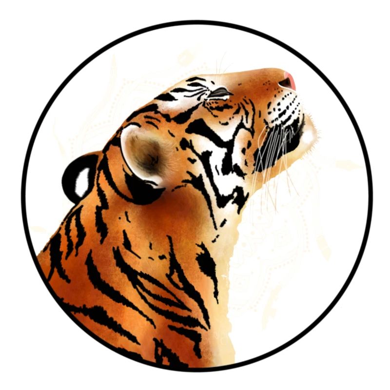 Tiger smiling