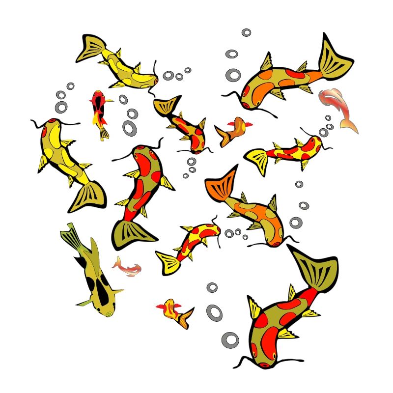Fischschwarm