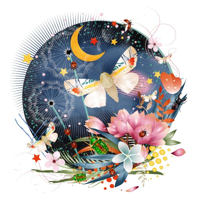 rare, exotic and native insects at night