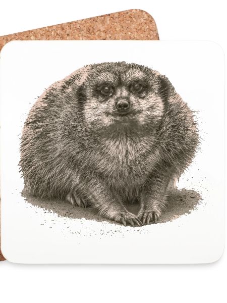 Erdmännchen sitzt im Sand