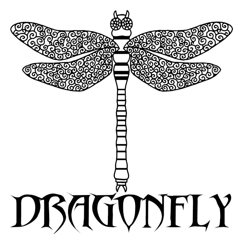 Schwarze Libelle