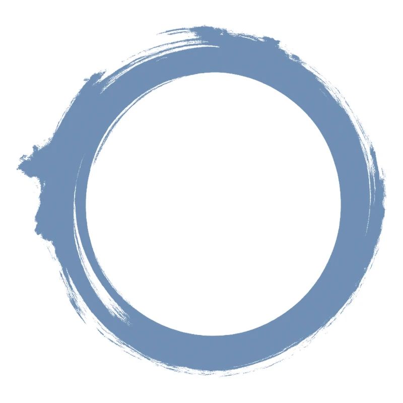 Black Hole Universe Silhouette Minimal Physics