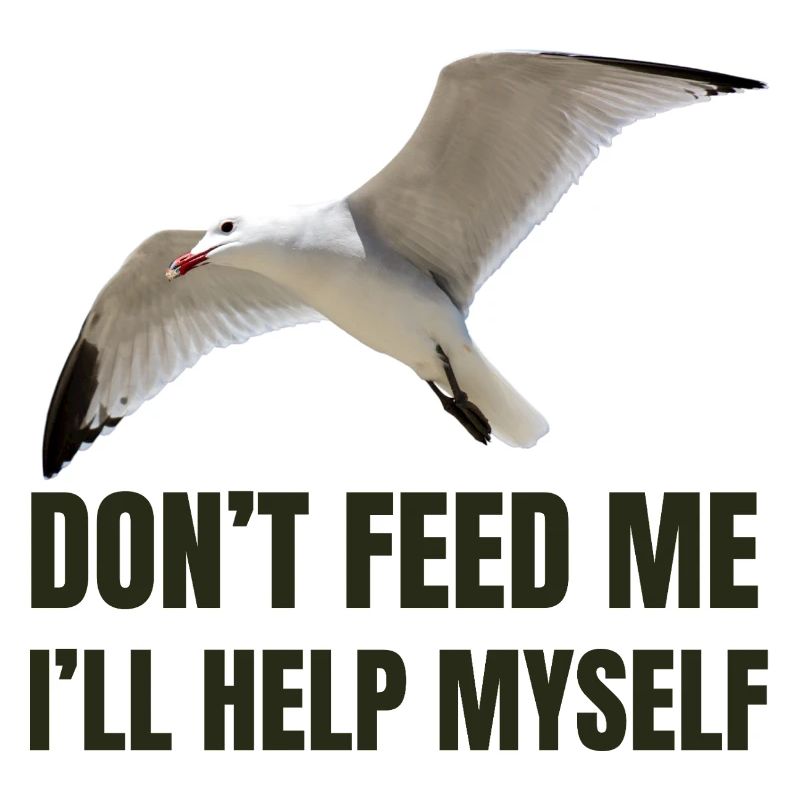 Möwe mit mutigem Statement
