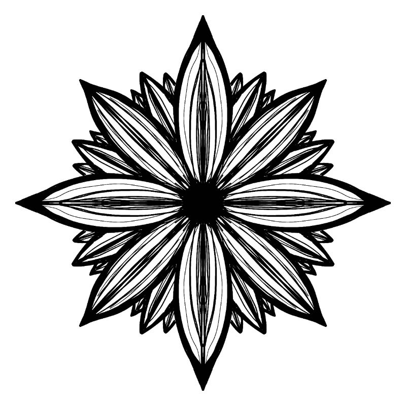 Daisy flower