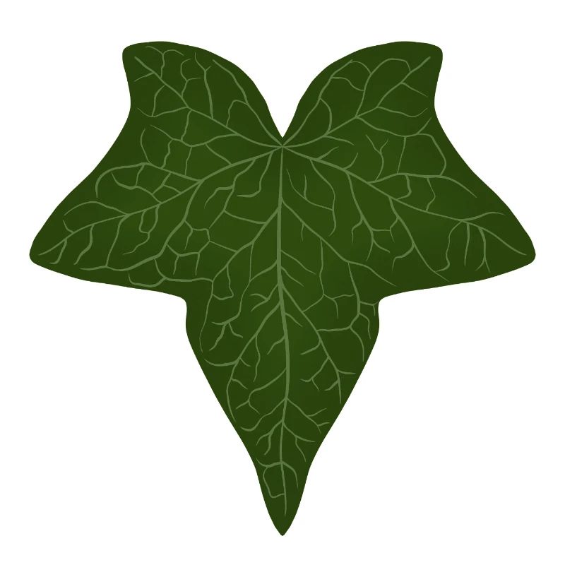 Elegant Green Ivy Leaf Pattern