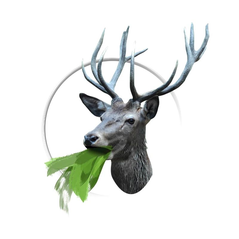 Kotzender Hirsch