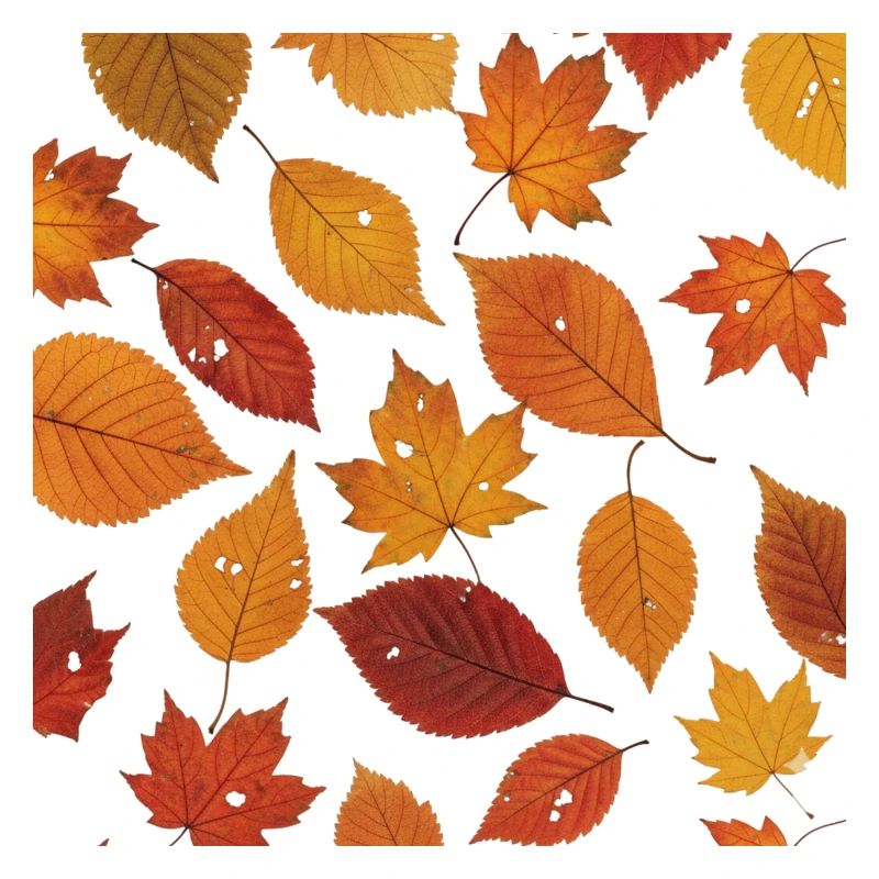 Herbstblatt Muster