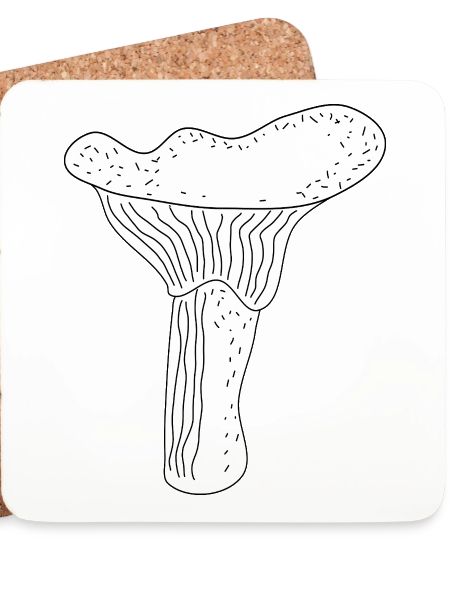 Pfifferlinge Pilze