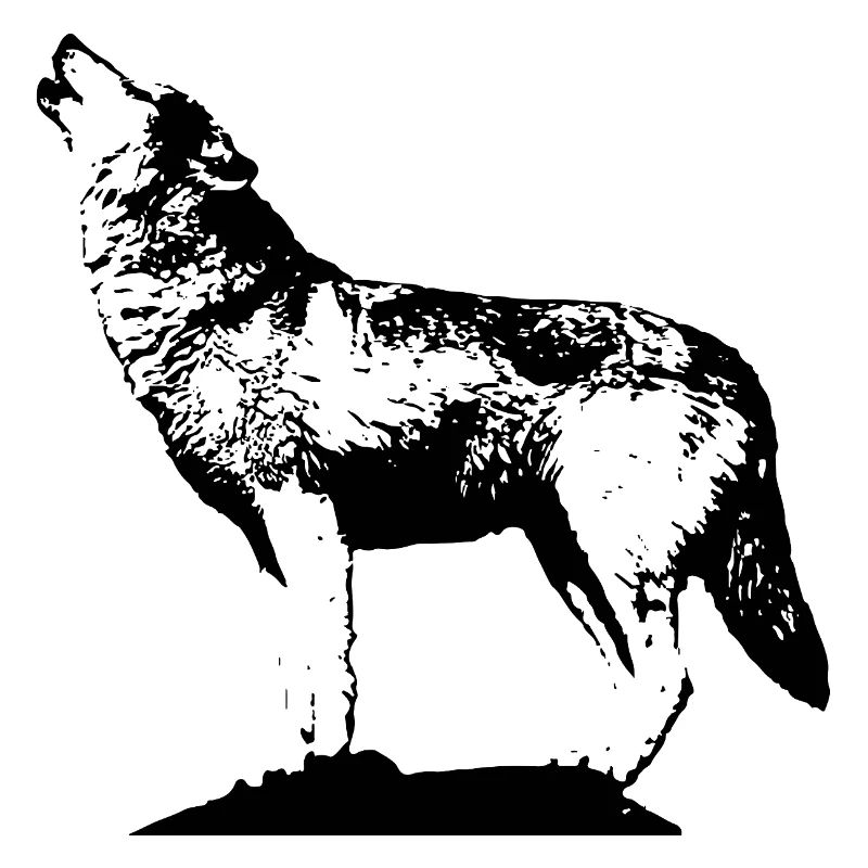 115304478_145994379_Wolf