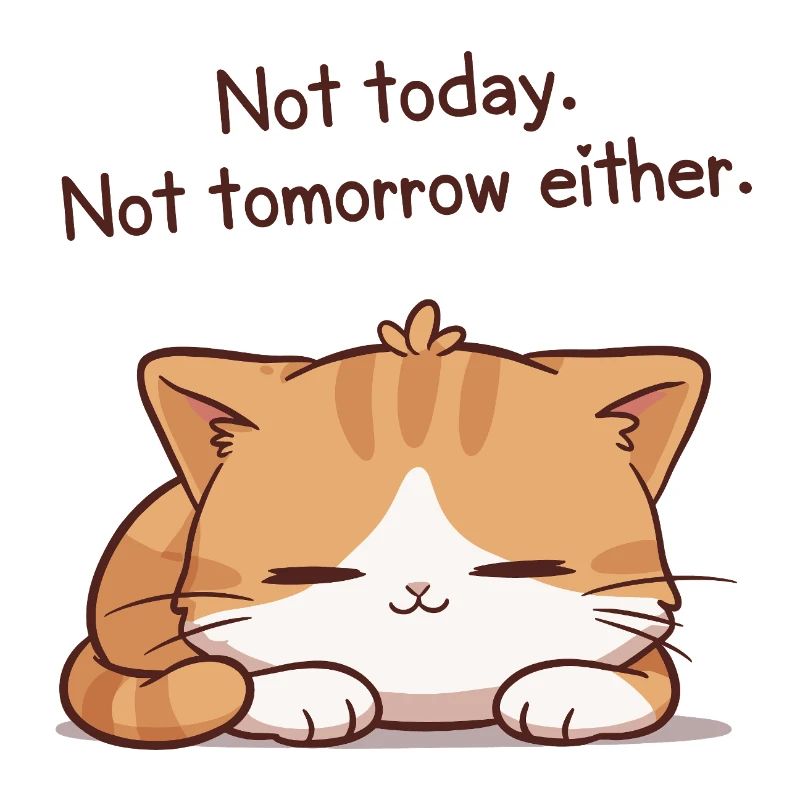 Sleeper kitten Not today Not tomorrow