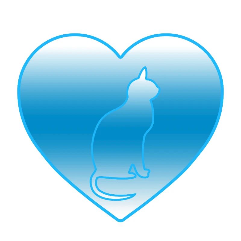 Katze
