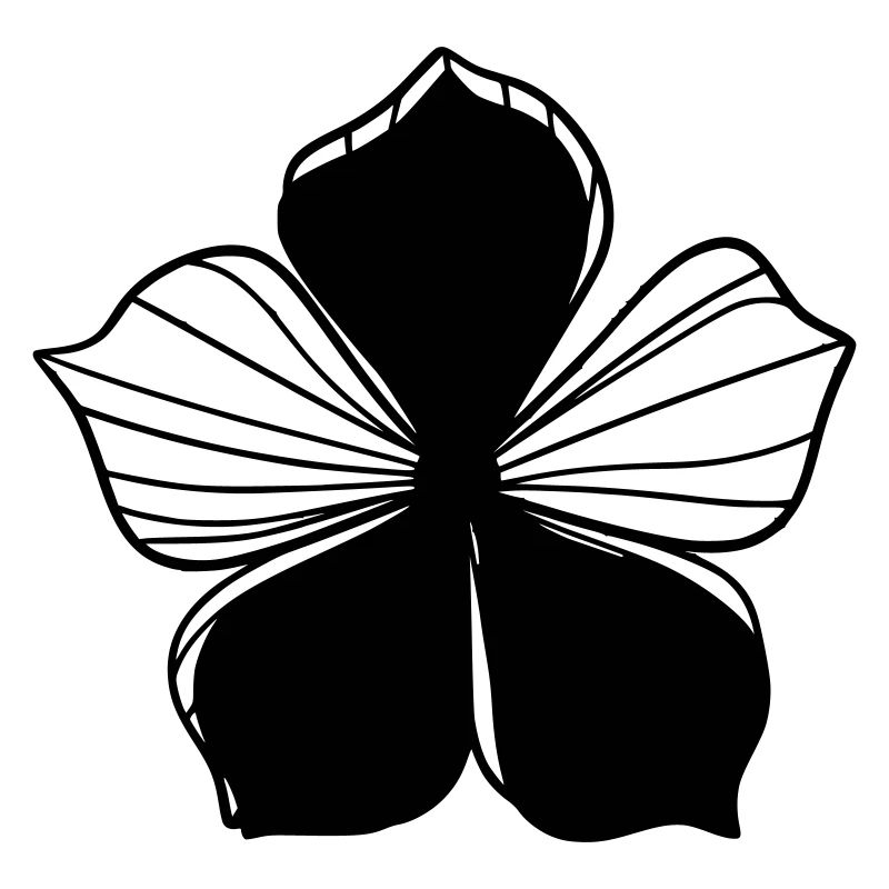 Design floral graphique transparent - Graphique fleur