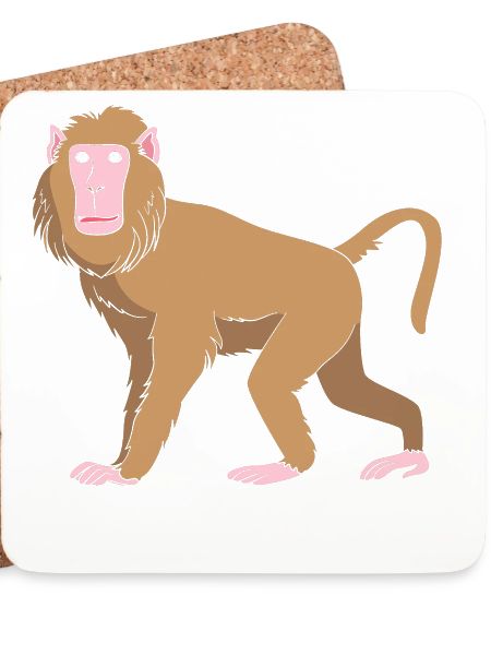 Baboon Pavian Primat Affe Affen