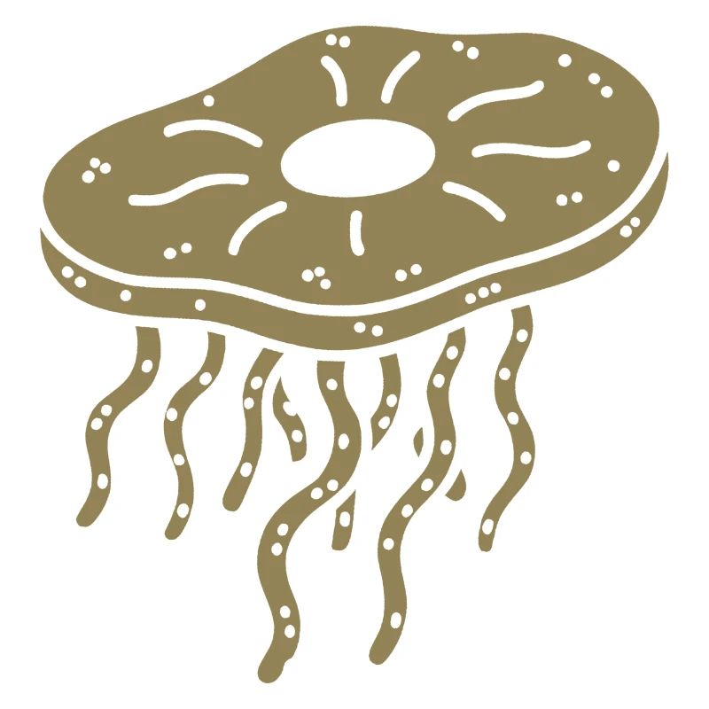 Minimalist Kombucha SCoby Tea Jellyfish