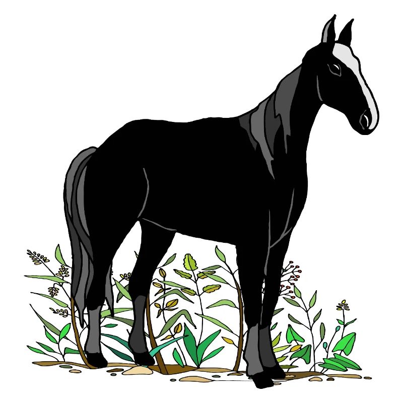 Pferd