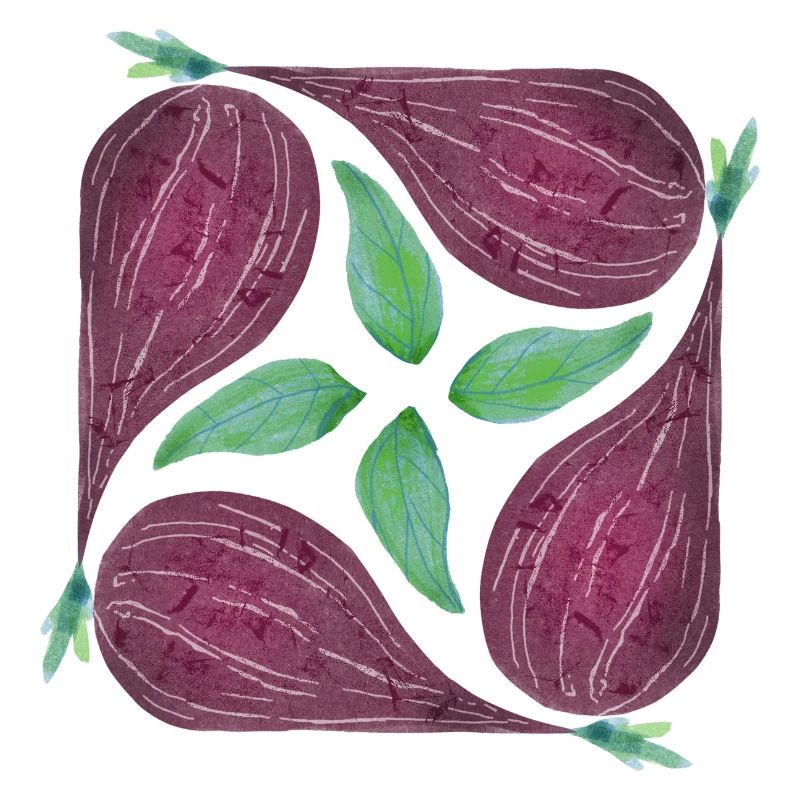 Red Onion Pattern