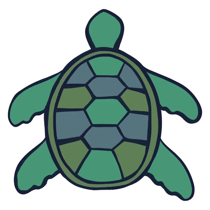 Geometric Shell Turtle