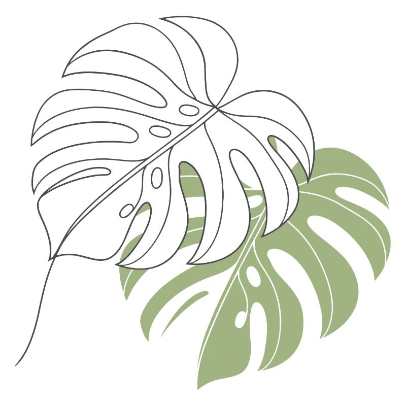 Illustration d’illustration de feuilles de Monstera